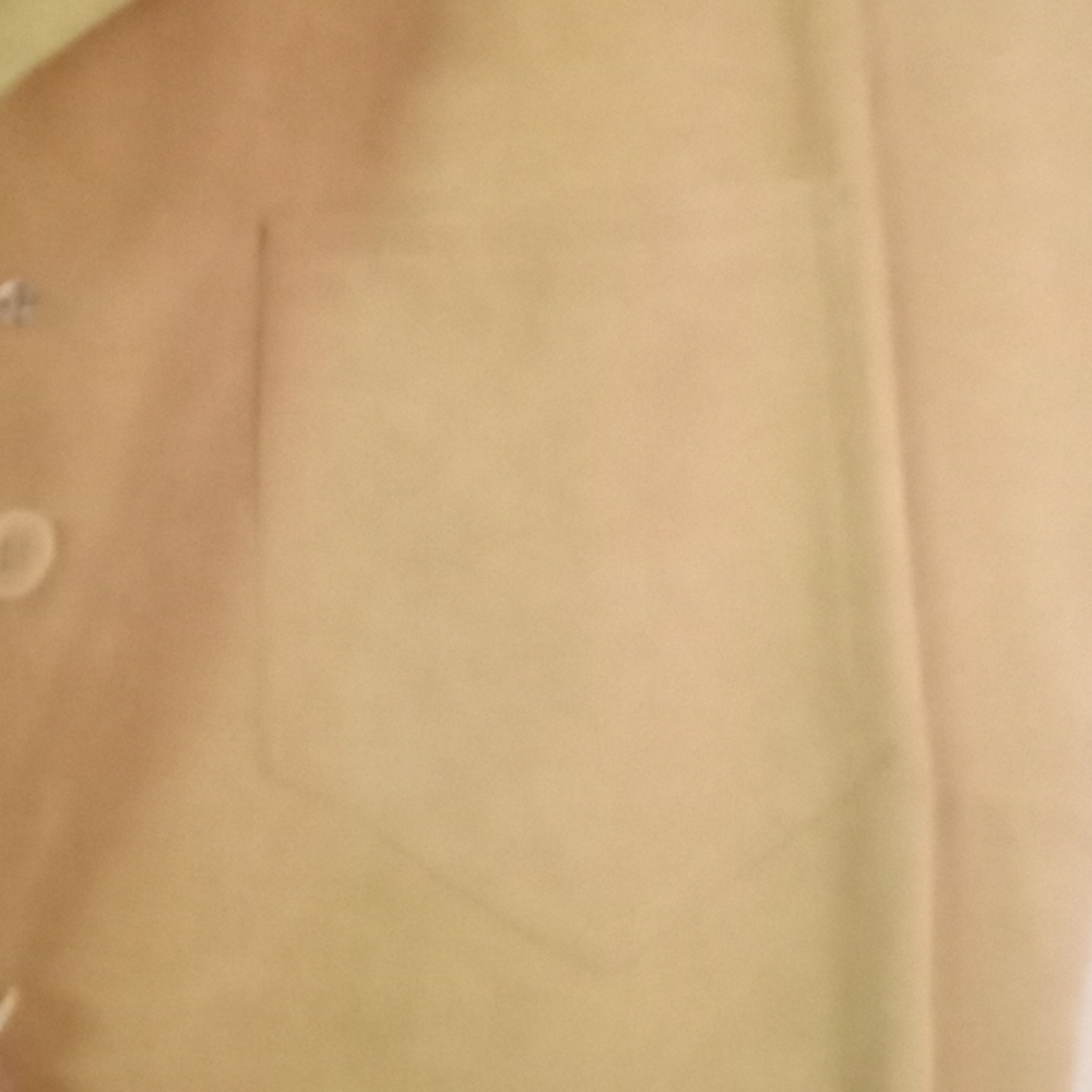 Suede Tan Dress - Picture 2 of 4